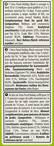 Tetra Pond Holiday Food, 2 Weeks Pond Holiday Fish Food Block, 98 g