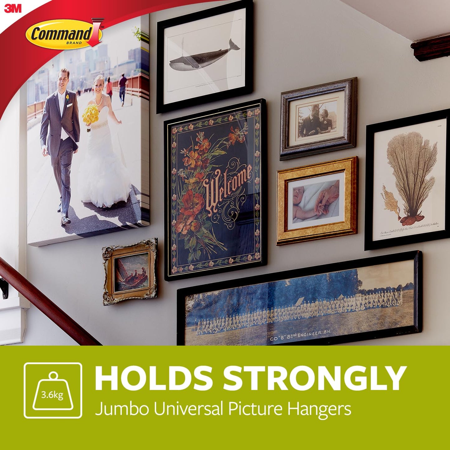 Command 17048-ES Metal Universal Picture Hanger - Damage Free Hanging - For Pictures, Frames, Mirrors and Clocks - Holds up to 3.6 kg