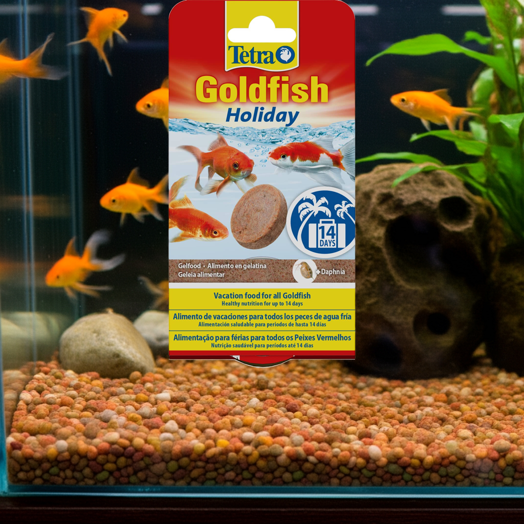 Tetra Goldfish Holiday - Holiday food for all goldfish, healthy nutrition for up to 14 days, 2 X 12 g gel food block